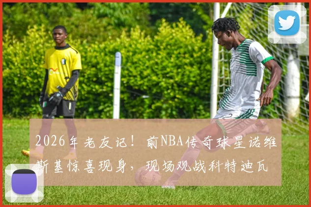 2026年老友记！前NBA传奇球星诺维斯基惊喜现身，现场观战科特迪瓦对阵挪威国际篮球赛